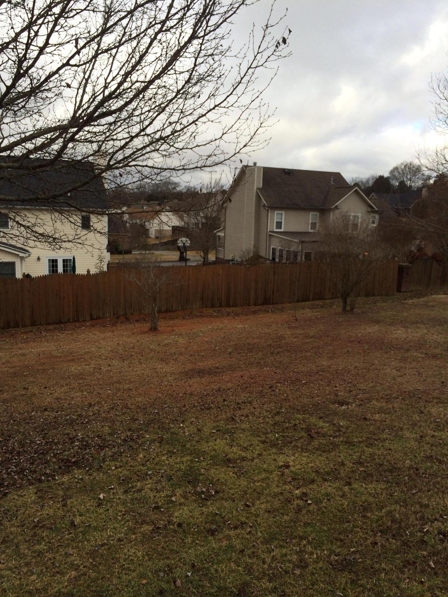 8013 Schroeder Road Powell, TN 37849 - Photo 23 of 24 Yard