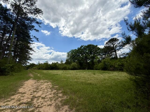 0 Old State Line Road Tylertown, MS 39667 - Photo 22 of 24 IMG_9827
