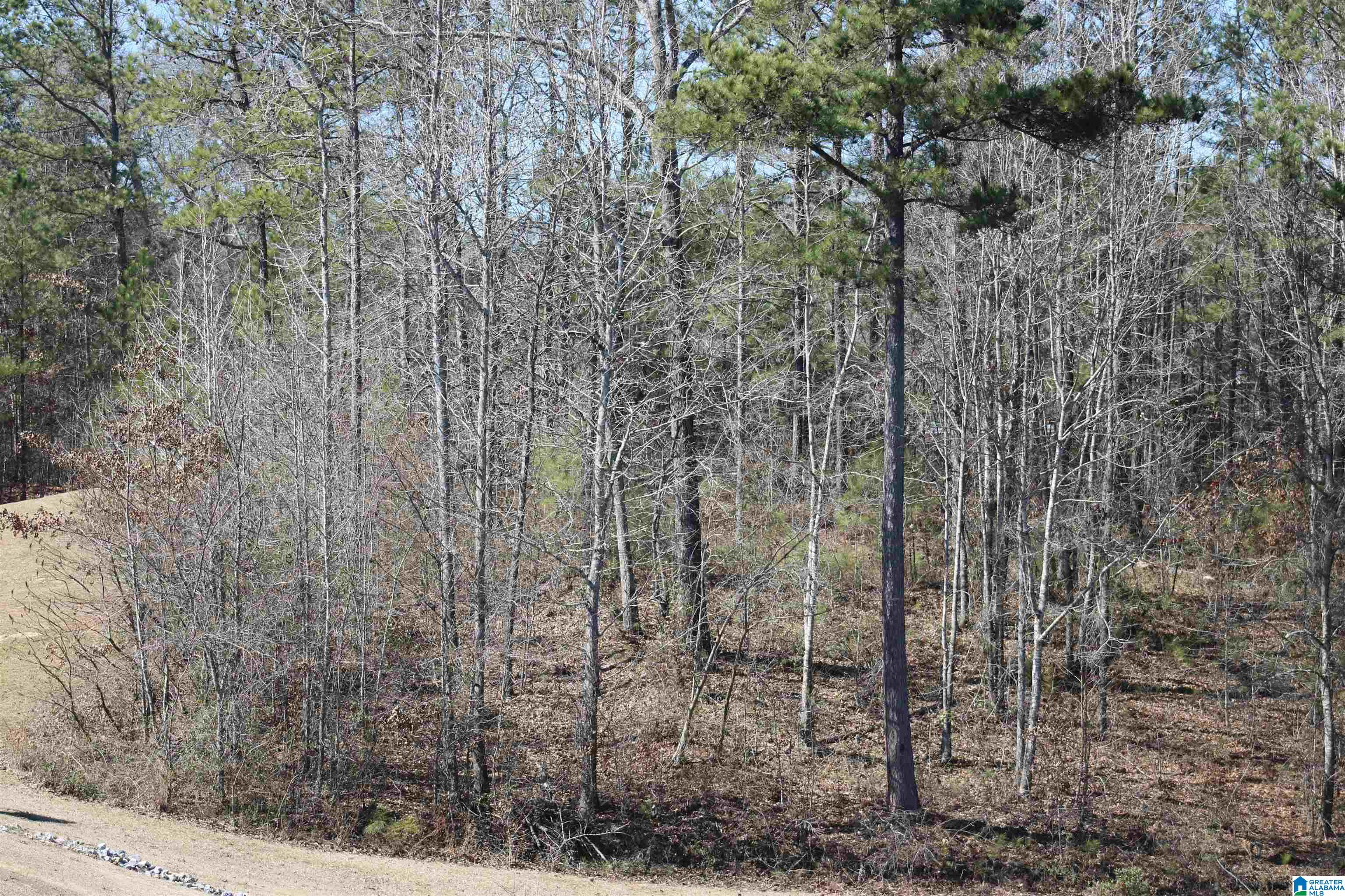 51 Bells Lane, Unit 51 Springville, AL 35146 - Photo 8 of 9