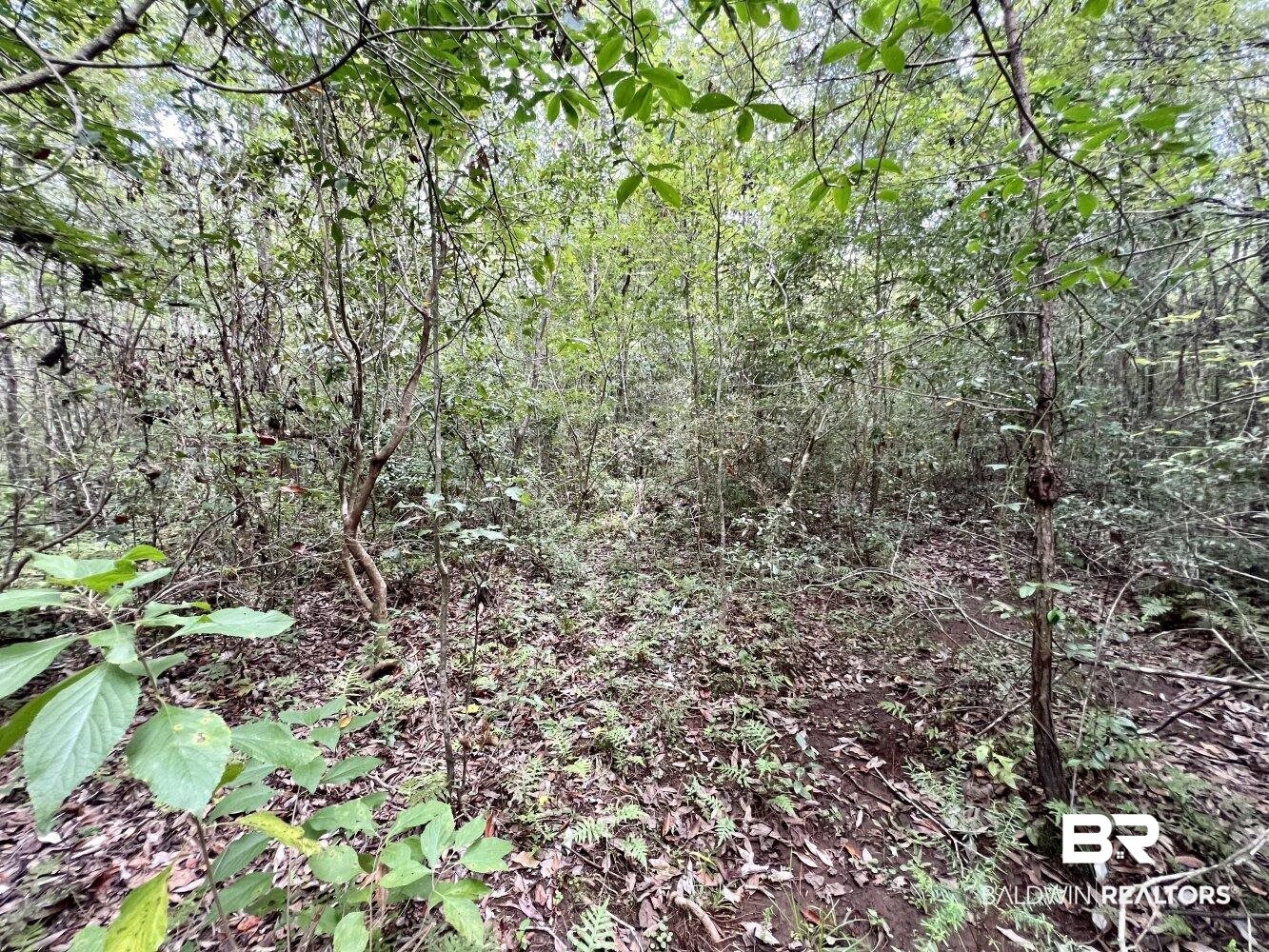0 Bear Fork Road Mobile, AL 36618 - Photo 39 of 50