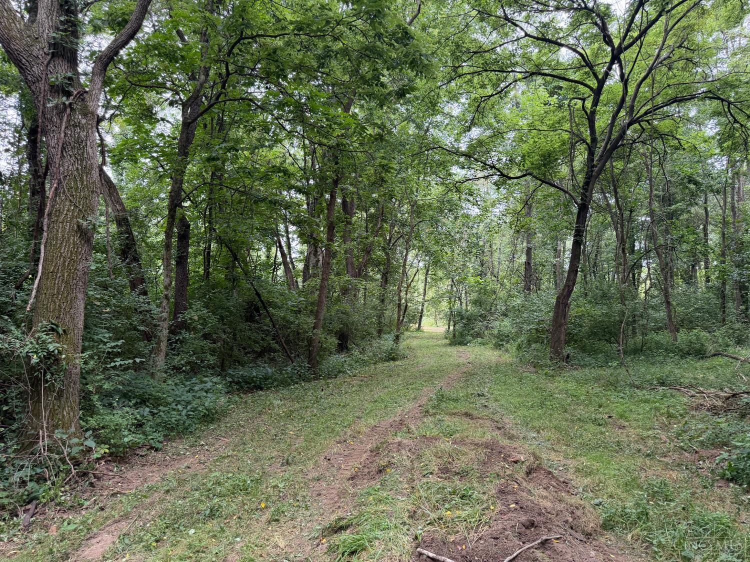 10237 Collins-Riley Road Blanchester, OH 45107 - Photo 13 of 17 Gallery Image 13