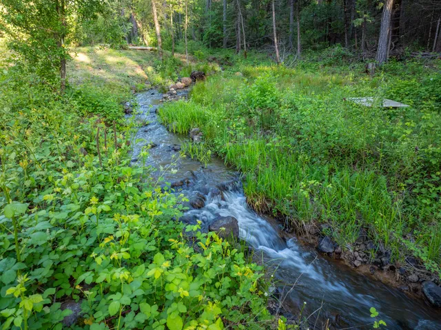a view of outdoor space and garden
