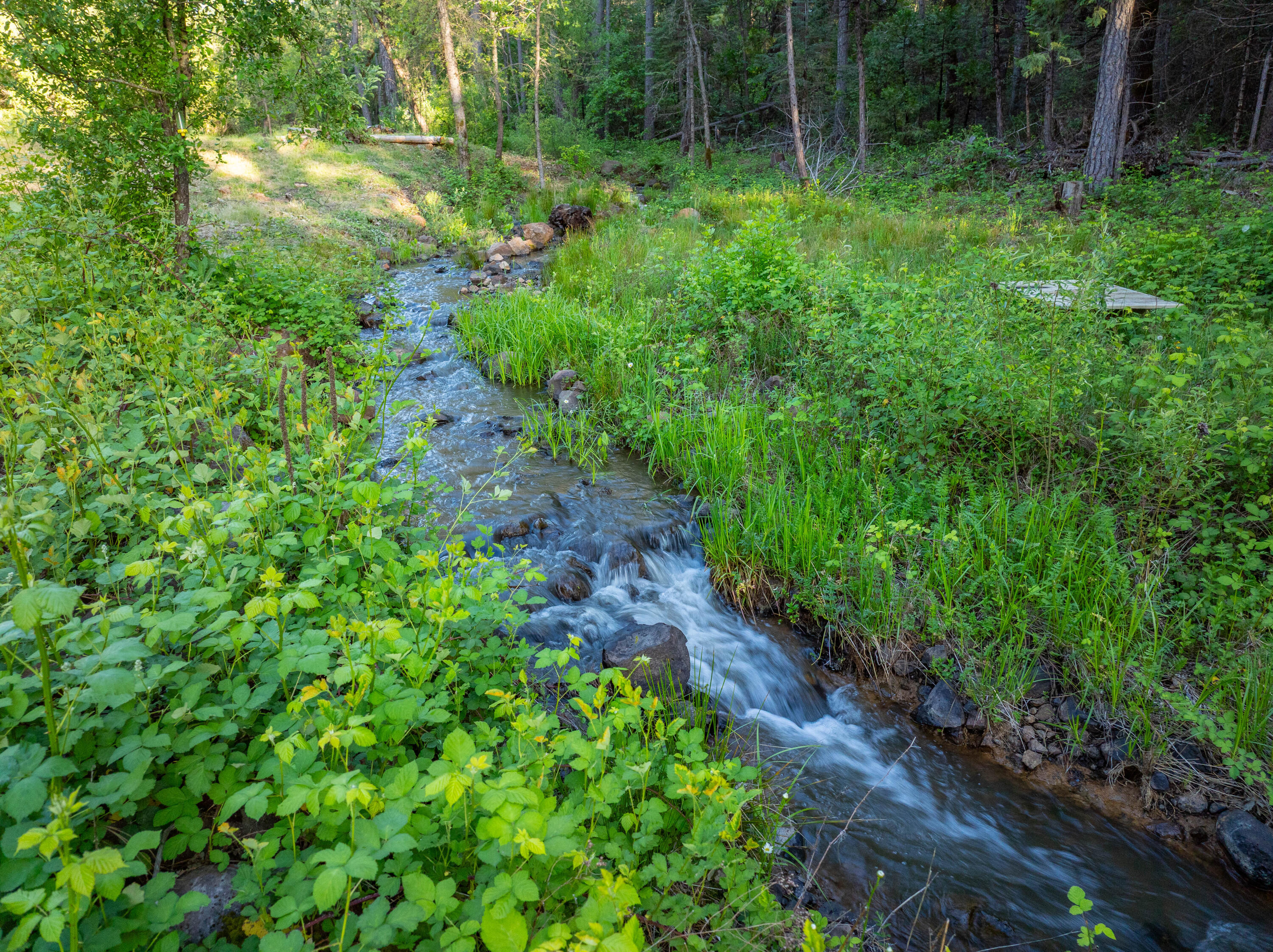 7704 Eastmoore Road Shingletown, CA 96088 - Photo 25 of 30 a view of outdoor space and garden
