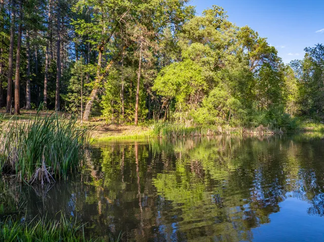 a view of a house with a wooden deck and a yard
