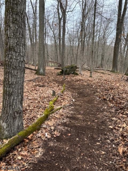 76 Monroe Road Lafayette, NJ 07848 - Photo 10 of 10