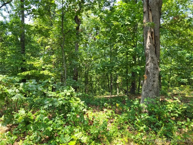 $8,600 | Lee Drive, Unit 2020, Edwards, MO 65326