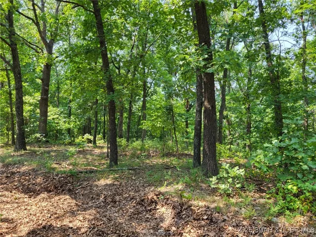 $8,600 | Lee Drive, Unit 2020, Edwards, MO 65326