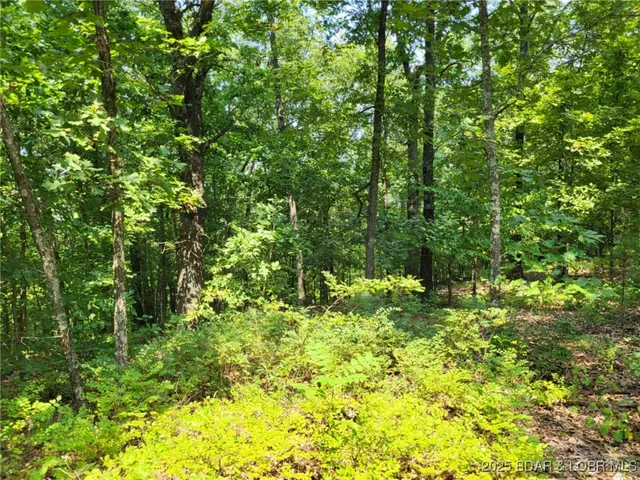 $8,600 | Lee Drive, Unit 2020, Edwards, MO 65326