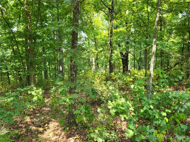 $8,600 | Lee Drive, Unit 2020, Edwards, MO 65326