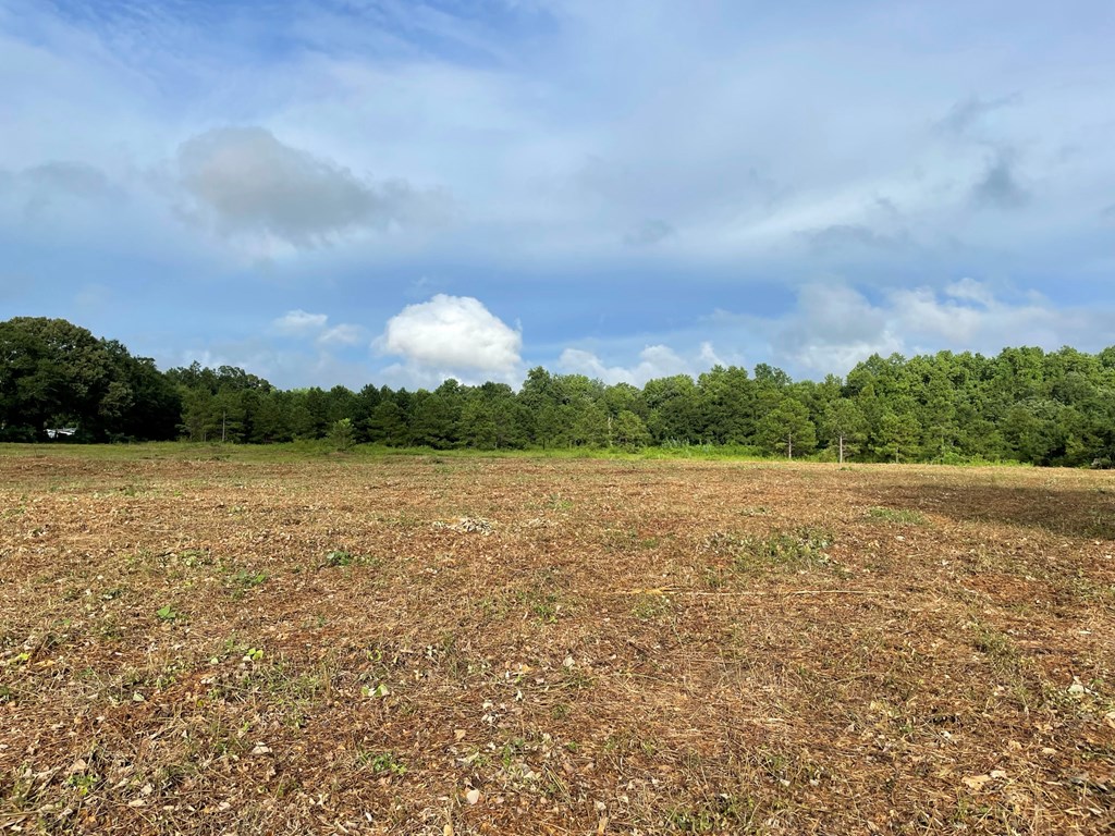 0 Iris Road Dothan, AL 36301 - Photo 4 of 12