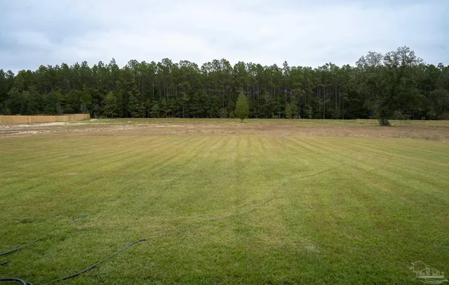 a view of a field with trees in the background