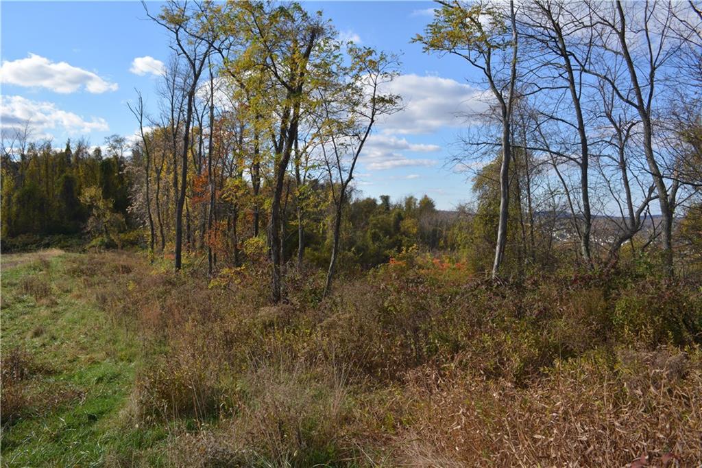 628 Martin Road Belle Vernon, PA 15012 - Photo 16 of 25 Gallery Image 16