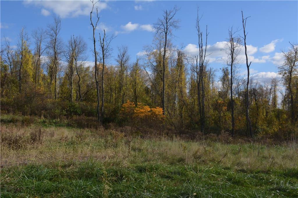 628 Martin Road Belle Vernon, PA 15012 - Photo 18 of 25 Gallery Image 18