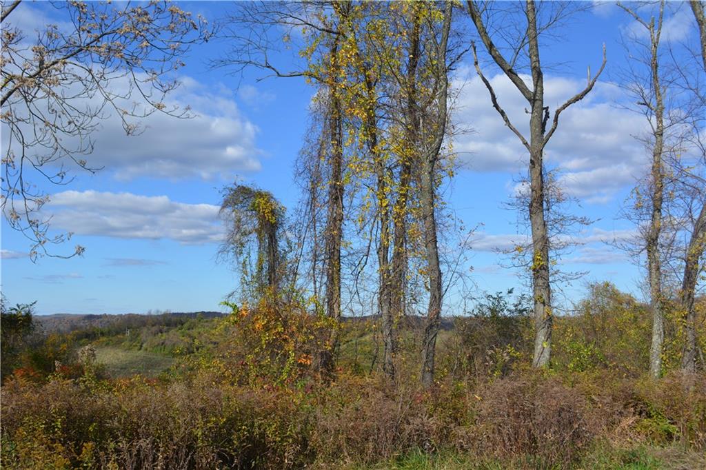 628 Martin Road Belle Vernon, PA 15012 - Photo 22 of 25 Gallery Image 22