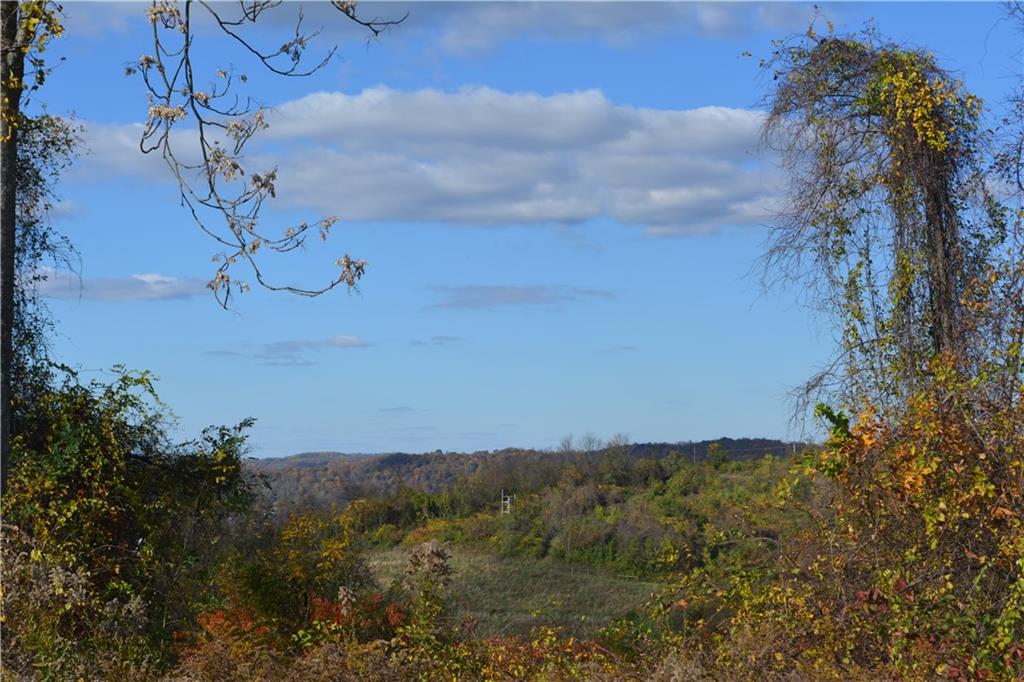 628 Martin Road Belle Vernon, PA 15012 - Photo 23 of 25 Gallery Image 23