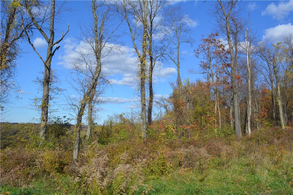 628 Martin Road Belle Vernon, PA 15012 - Photo 24 of 25 Gallery Image 24