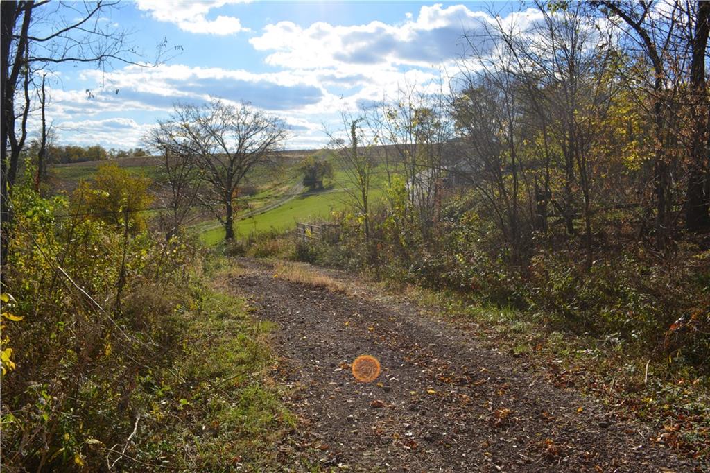 628 Martin Road Belle Vernon, PA 15012 - Photo 6 of 25 Gallery Image 6