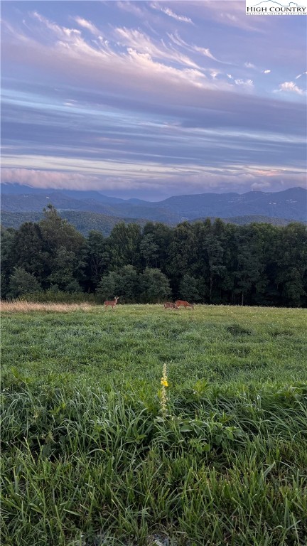 Site D Chappell Farm Road Banner Elk, NC 28604 - Photo 13 of 50 a view of a field with an ocean