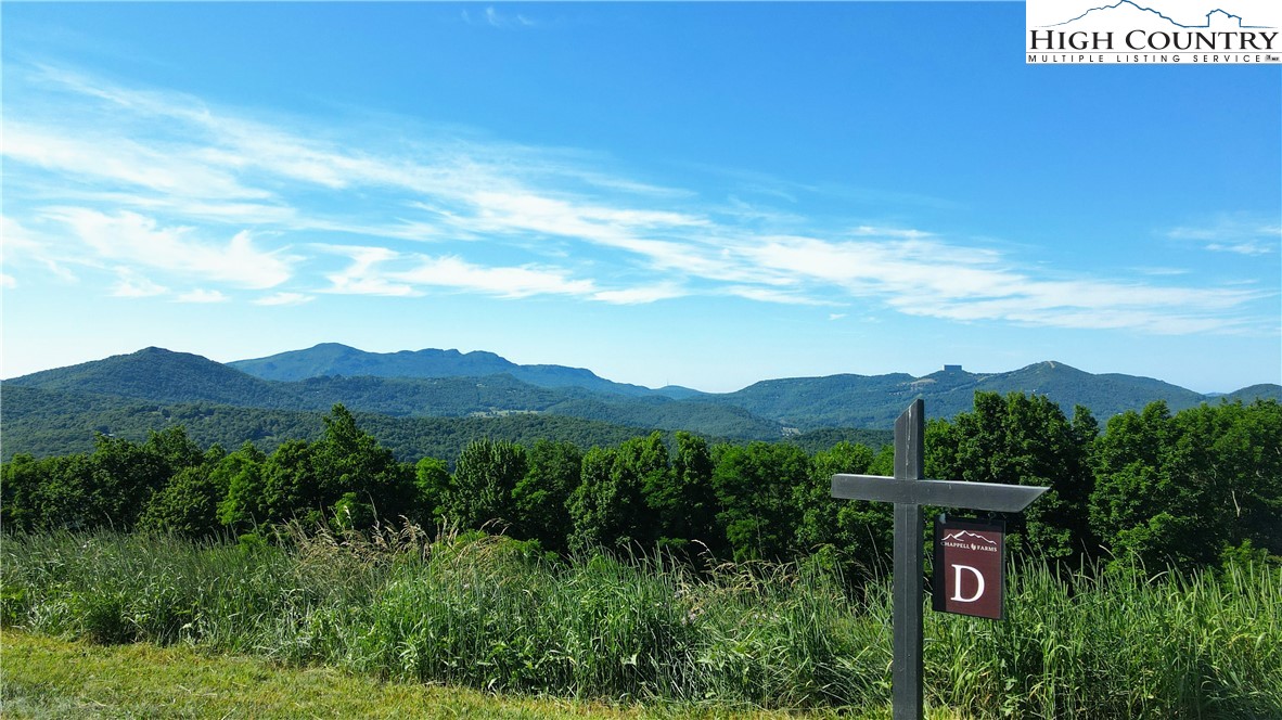 Site D Chappell Farm Road Banner Elk, NC 28604 - Photo 18 of 50 a view of a lush green field with mountains in the background
