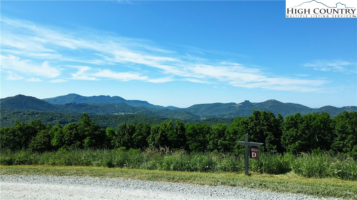 Site D Chappell Farm Road Banner Elk, NC 28604 - Photo 25 of 50 a view of a lush green field with mountains in the background