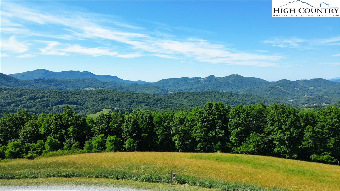 Site D Chappell Farm Road Banner Elk, NC 28604 - Photo 26 of 50 a view of a lush green hillside and a houses