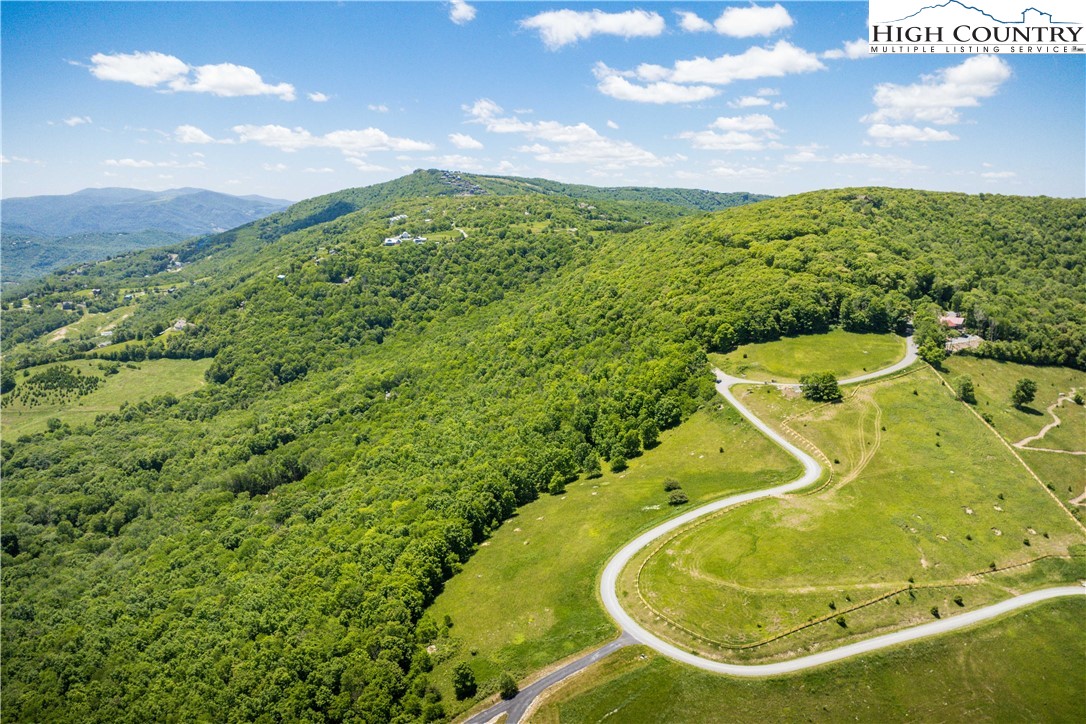 Site D Chappell Farm Road Banner Elk, NC 28604 - Photo 32 of 50 a view of a swimming pool with a yard and large tree