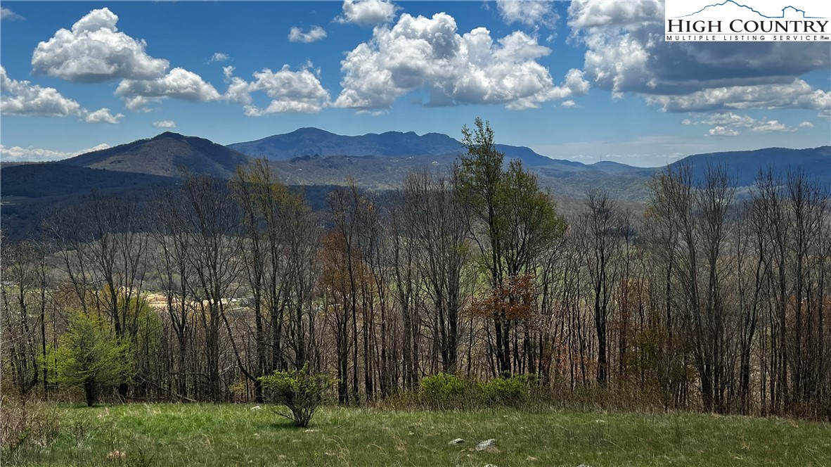 Site D Chappell Farm Road Banner Elk, NC 28604 - Photo 38 of 50 a view of a bunch of trees and grass