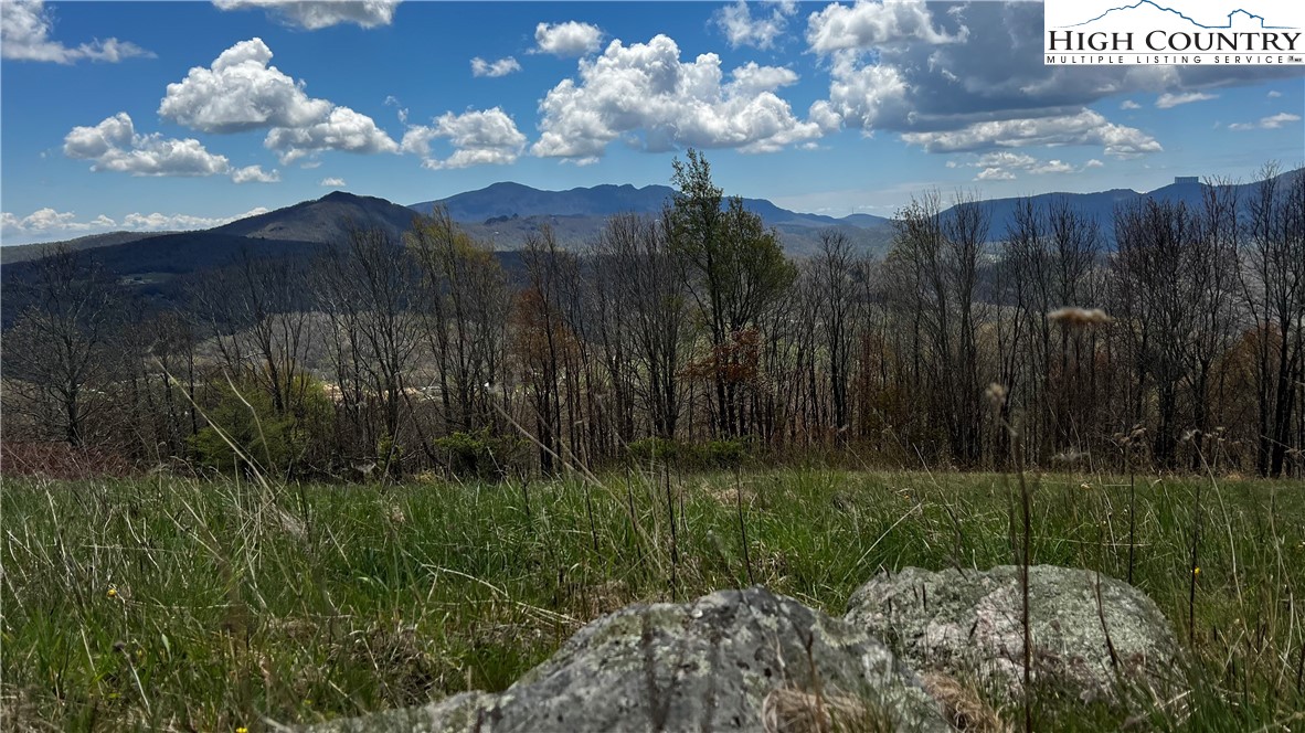 Site D Chappell Farm Road Banner Elk, NC 28604 - Photo 39 of 50 a view of a garden