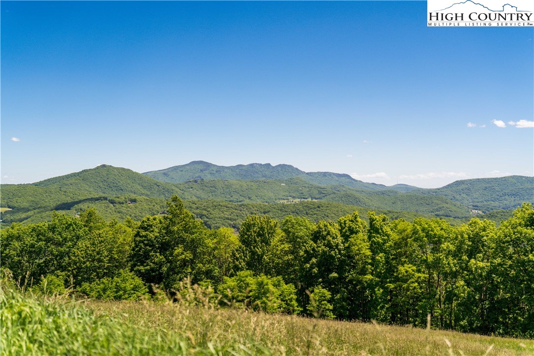 Site D Chappell Farm Road Banner Elk, NC 28604 - Photo 4 of 50 a view of lake with mountain