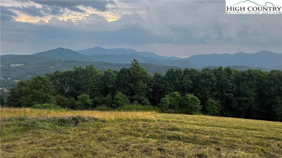 Site D Chappell Farm Road Banner Elk, NC 28604 - Photo 42 of 50 a view of lake and mountain