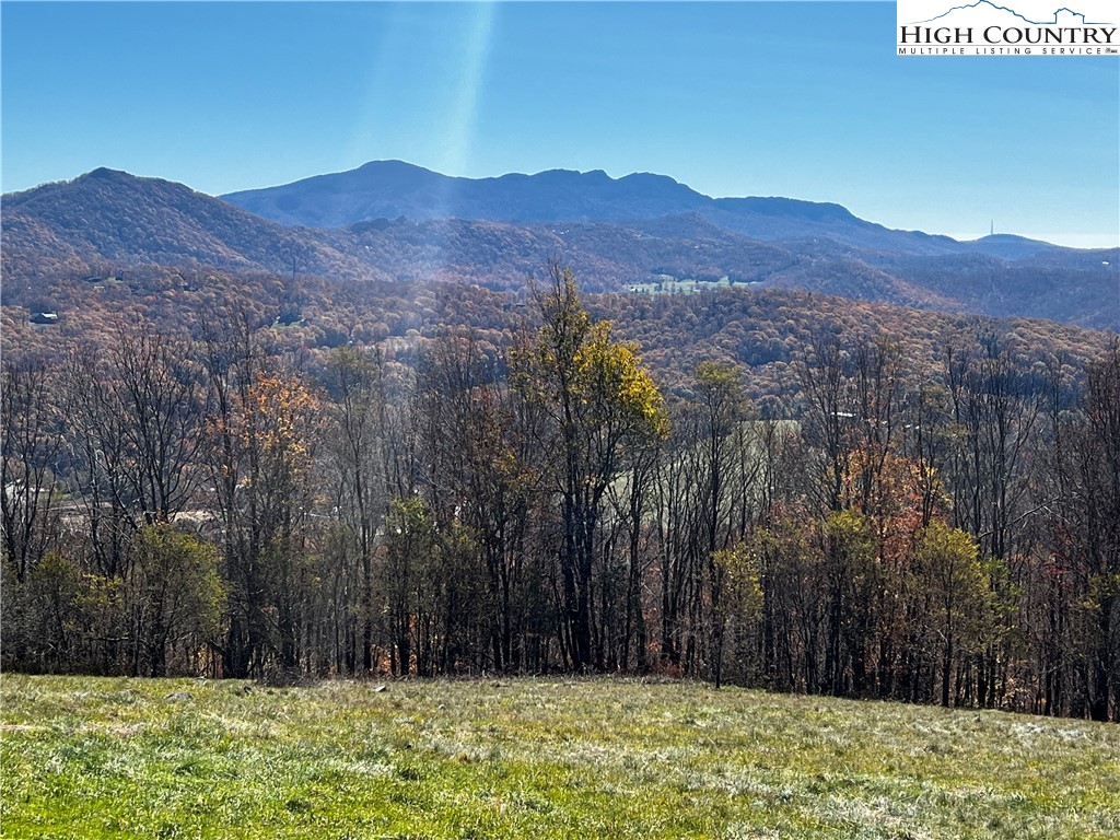 Site D Chappell Farm Road Banner Elk, NC 28604 - Photo 8 of 50 a view of mountain and a yard