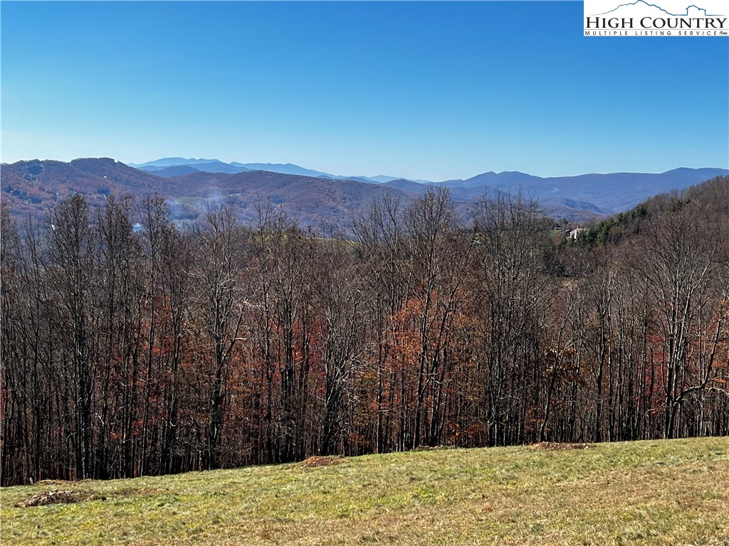 Site D Chappell Farm Road Banner Elk, NC 28604 - Photo 9 of 50 a view of a backyard