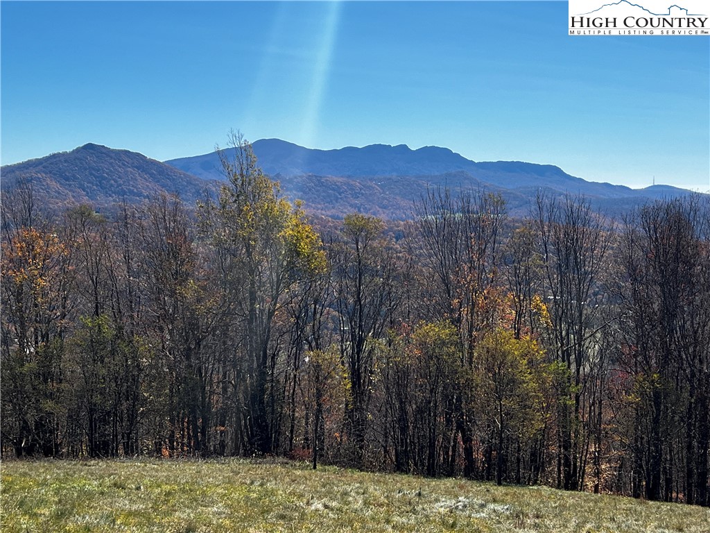 Site D Chappell Farm Road Banner Elk, NC 28604 - Photo 10 of 50 a view of a large mountain with trees in front of it