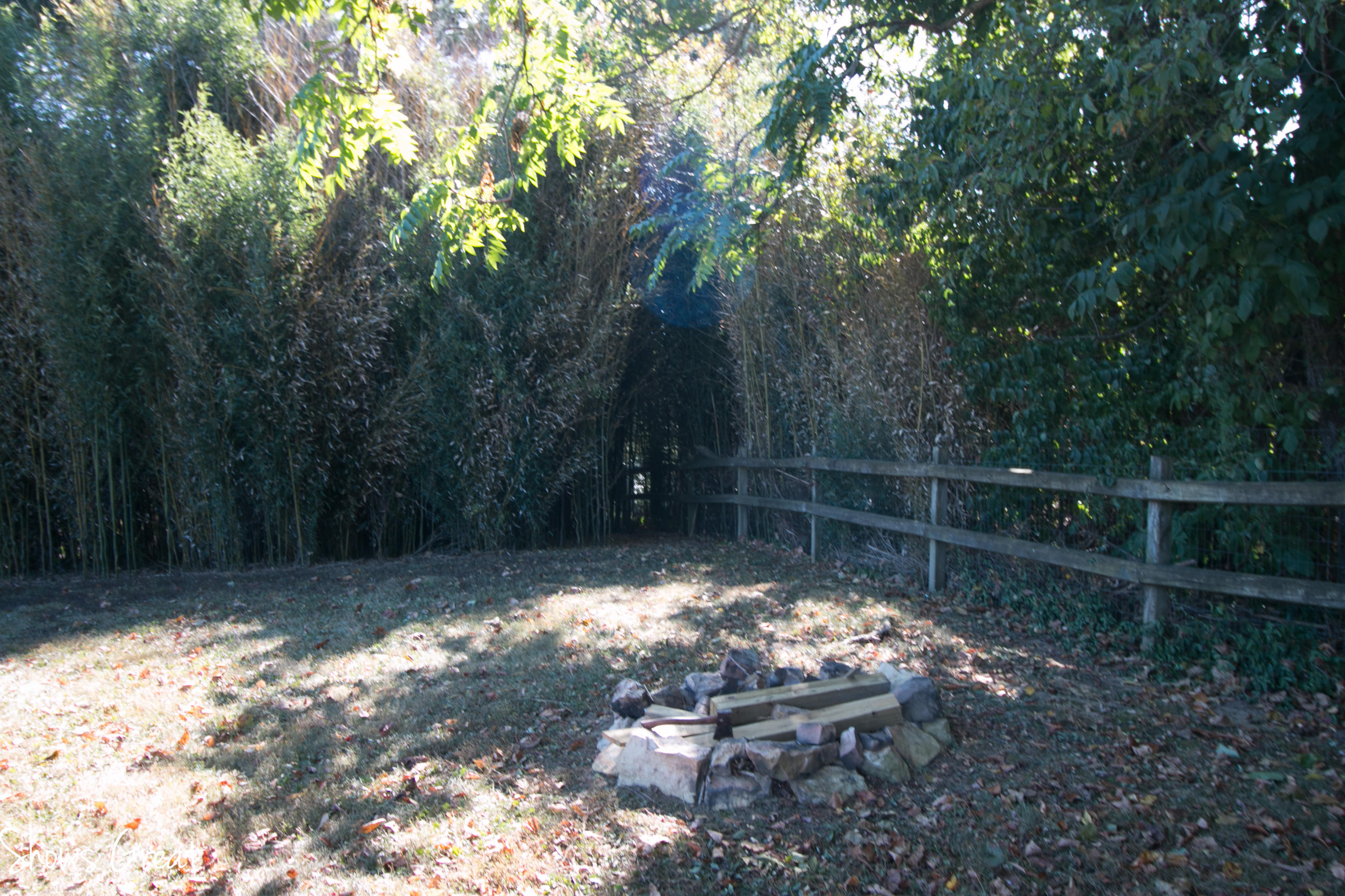 7218 Roanoke Road Fincastle, VA 24090 - Photo 48 of 51 IMG_9741
