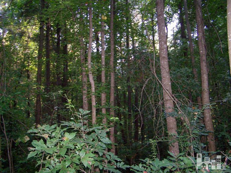 1111 Lake Artesia Road Turkey, NC 28393 - Photo 2 of 4 Additional Photo