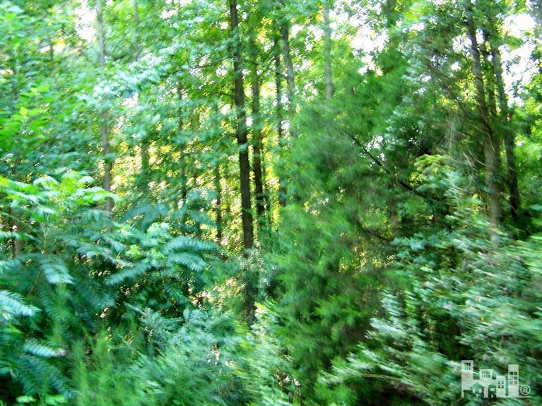 1111 Lake Artesia Road Turkey, NC 28393 - Photo 3 of 4 Additional Photo