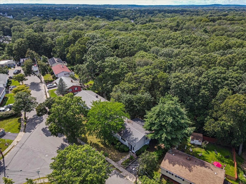 51 Joan Road Boston, MA 02136 - Photo 33 of 42 an aerial view of green landscape with trees houses and mountain view