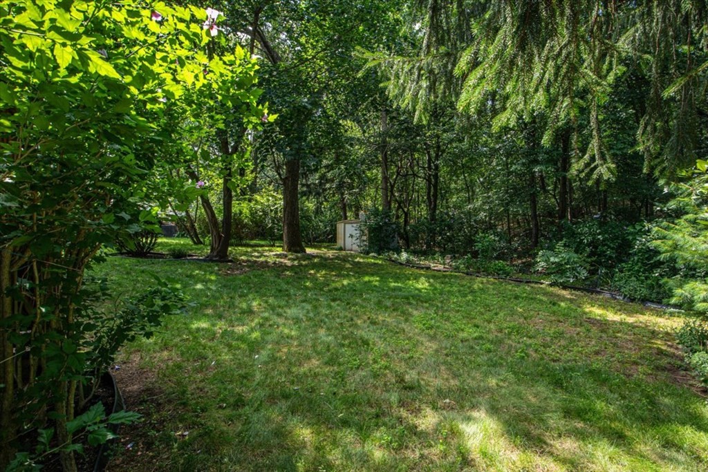 51 Joan Road Boston, MA 02136 - Photo 39 of 42 a view of outdoor space with deck and yard