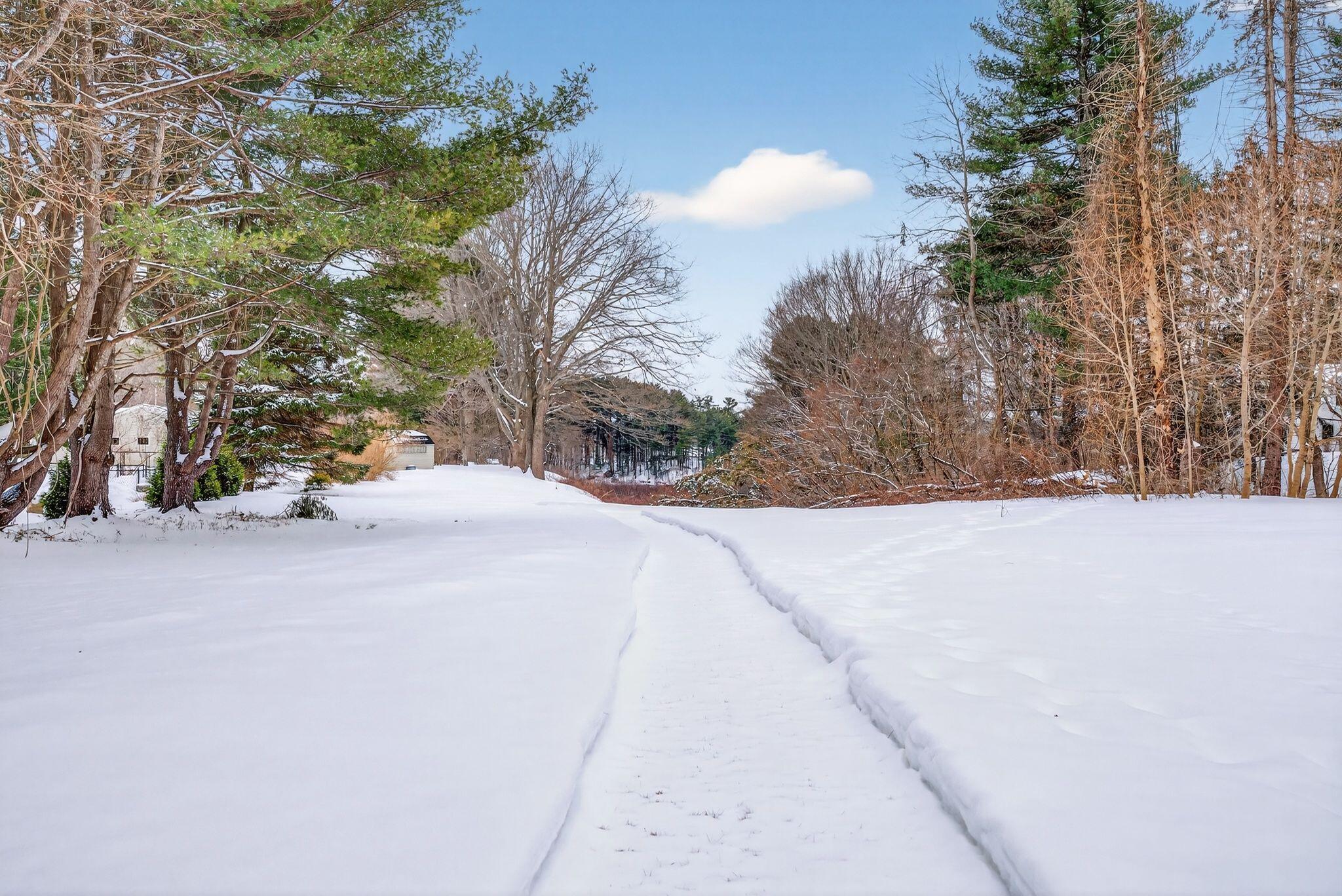 295 Ferry Road Saco, ME 04072 - Photo 10 of 47 Rear Yard Facing Water