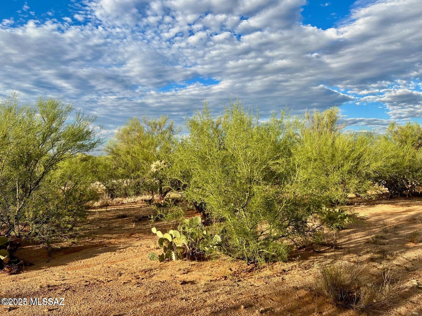 15966 West Phillips Road, Unit 270 Tucson, AZ 85736 - Photo 7 of 17 Gallery Image 7