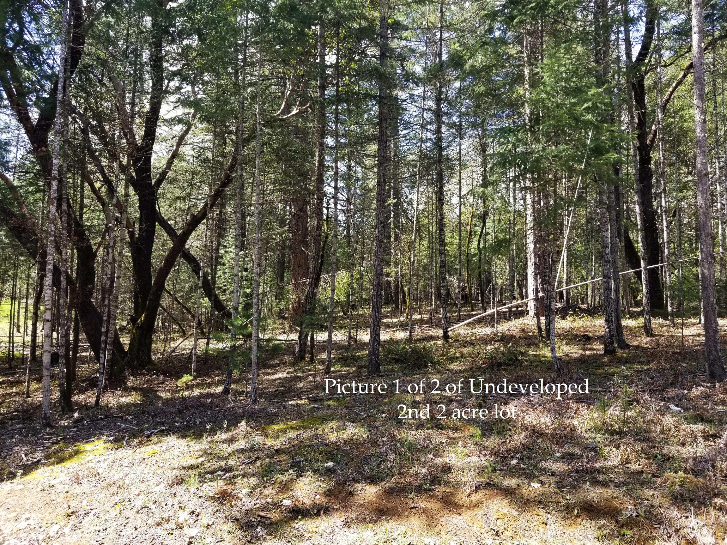1075 East Crow Road Merlin, OR 97532 - Photo 38 of 39 36