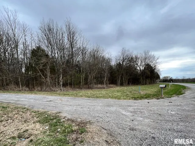 $89,750 | 0 Us Route 51 Highway, De Soto, IL 62924