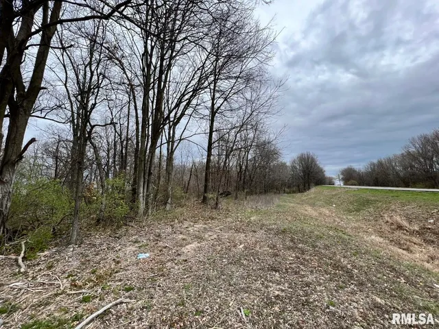 $89,750 | 0 Us Route 51 Highway, De Soto, IL 62924