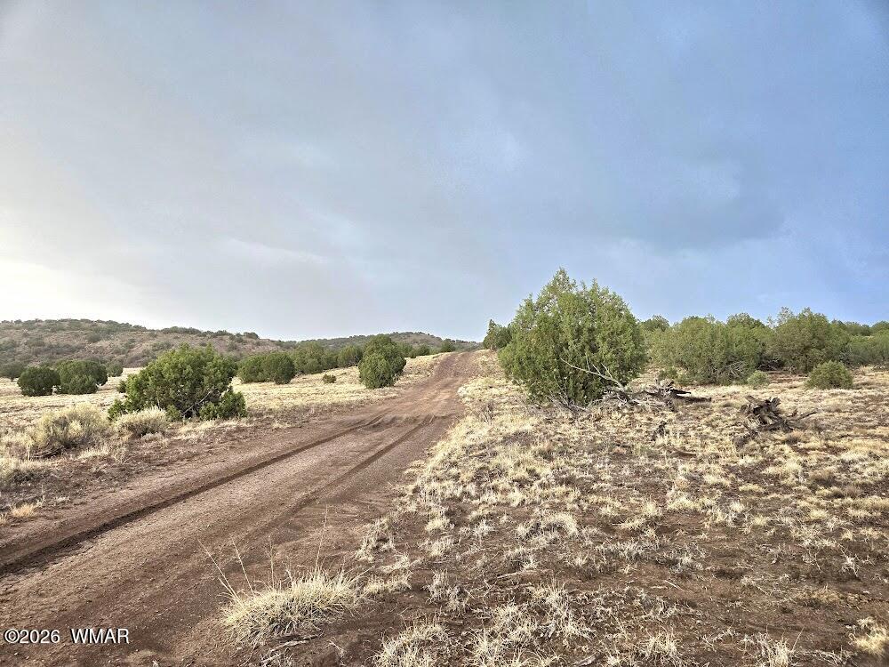 Lot 9 Pinon Valley Ranch Concho, AZ 85924 - Photo 12 of 12 a view of a road with an ocean view