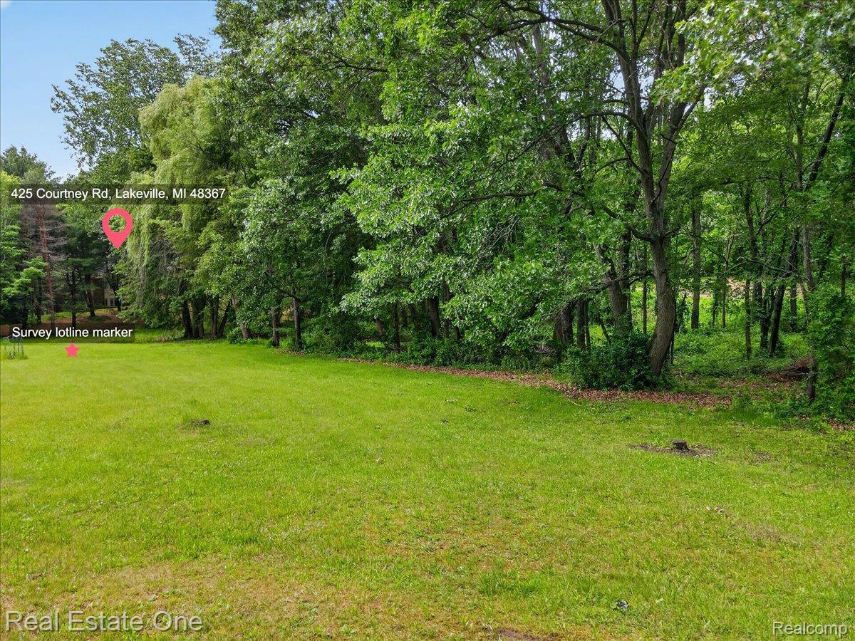 425 Courtney Road Leonard, MI 48367 - Photo 87 of 89 Expansive green lawn framed by mature trees, offering a significant open space