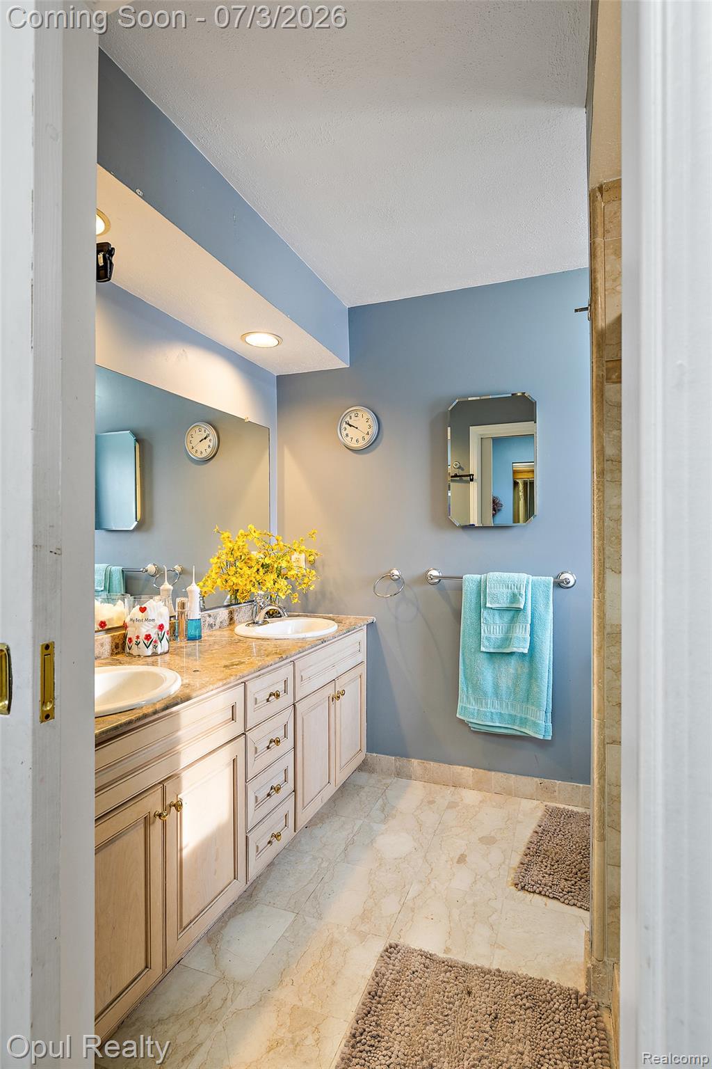 8855 Gross Road Dexter, MI 48130 - Photo 41 of 53 Dual vanity with undermount sinks and light-toned cabinetry, complemented by a stone-finish countertop