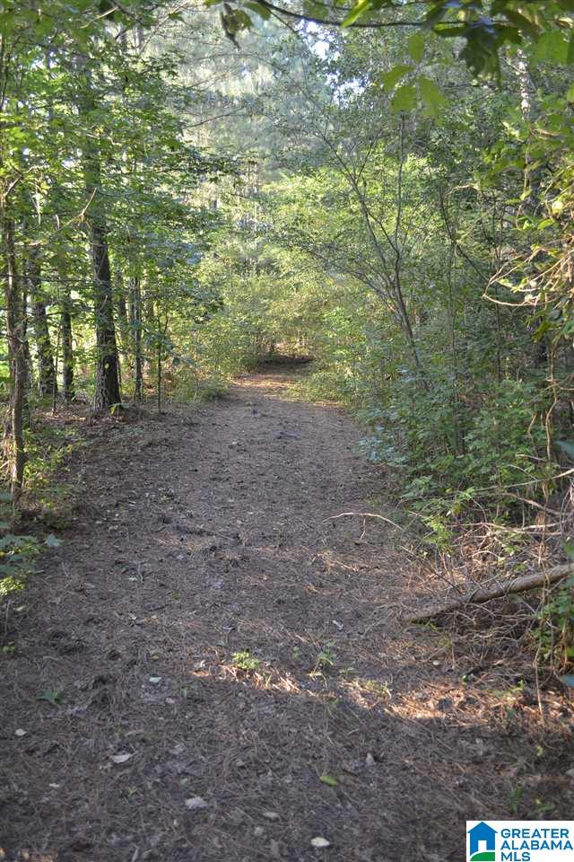 1980 Roy Webb Cutoff Road Piedmont, AL 36272 - Photo 46 of 47