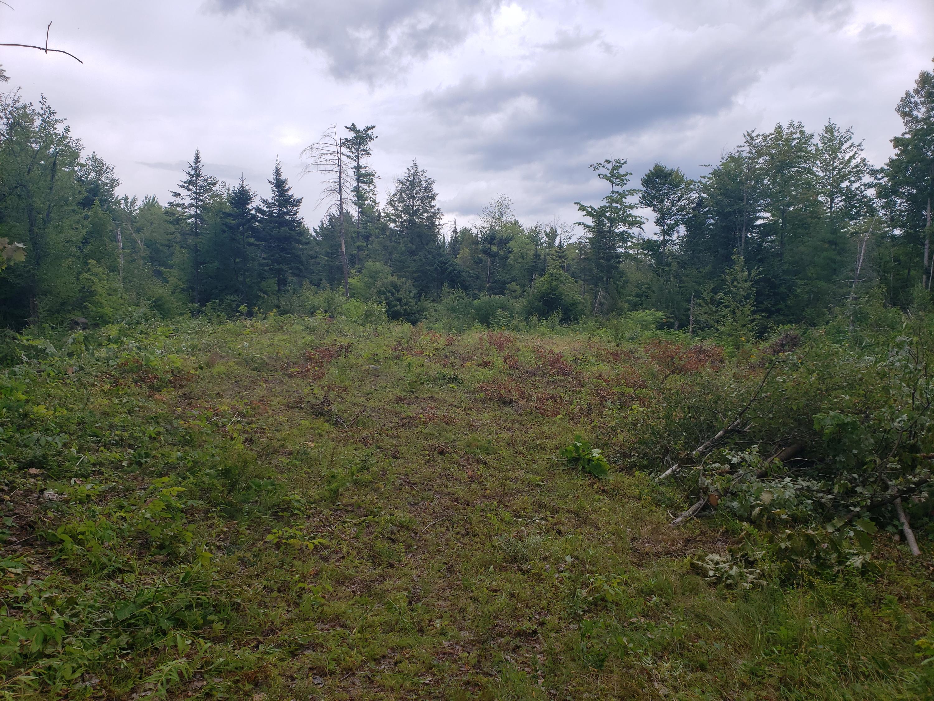 Tbd Lomie Rivers Road Jay, ME 04239 - Photo 19 of 30 20190813_130930