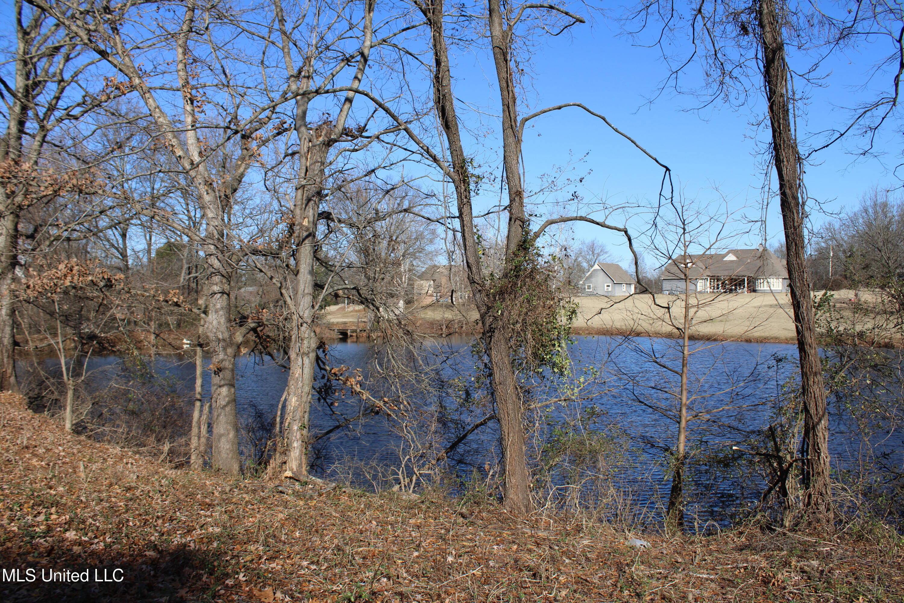7952 Hunters Bend Cove Olive Branch, MS 38654 - Photo 35 of 36 On the Lake