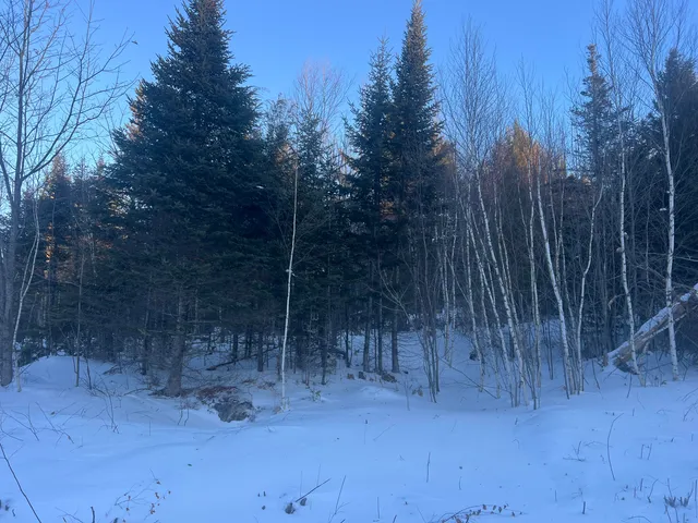 $125,000 | Lot 5 Gentle Ben Road, Bethel, ME 04217